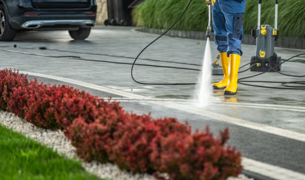 Best Dumpster Area Cleaning  in Ford City, CA